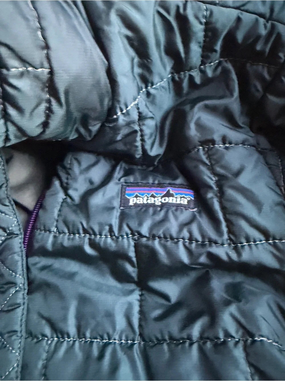 Patagonia Quilted Jacket in Dark Teal with Purple Accent
